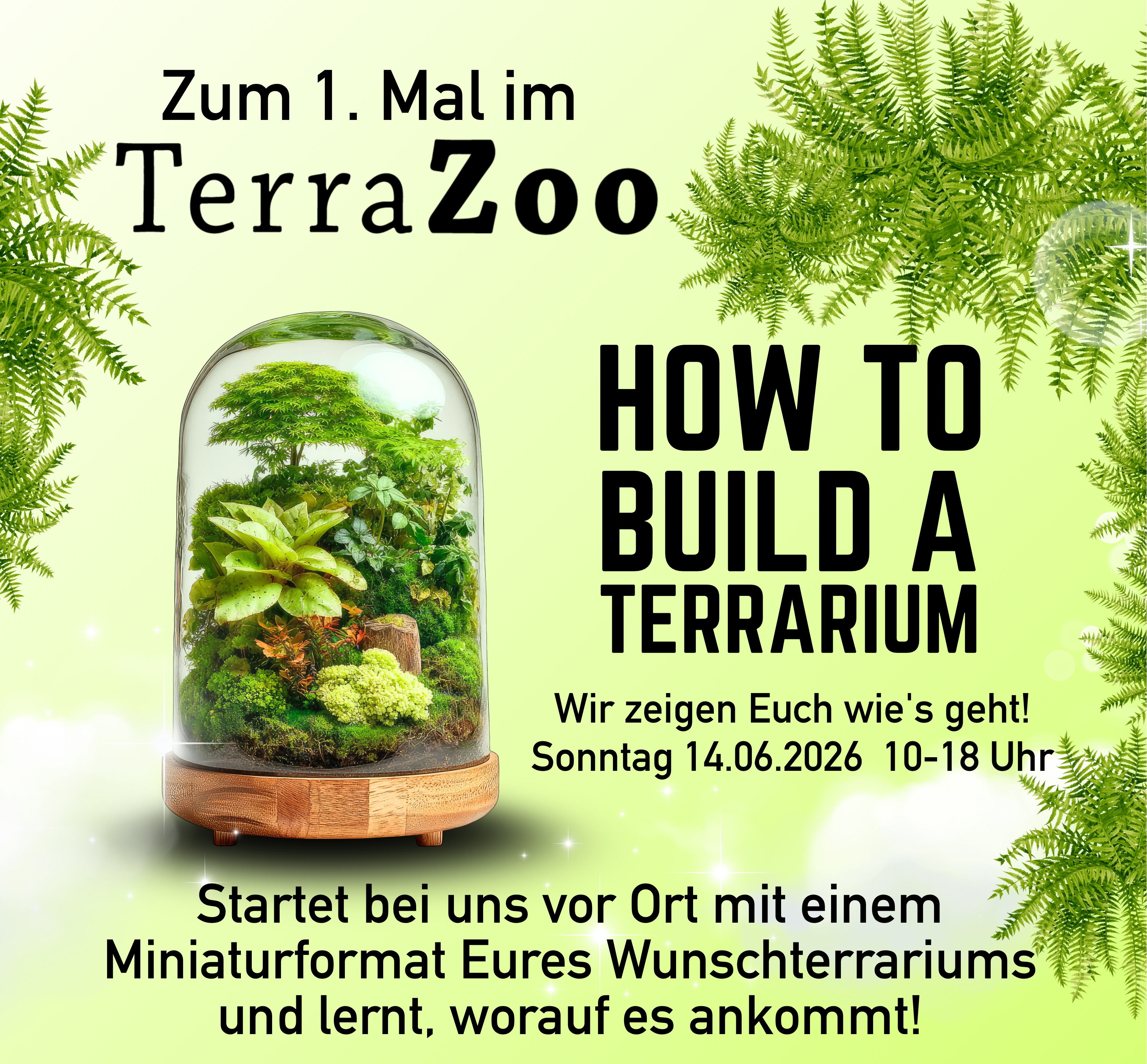 How to build a terrarium